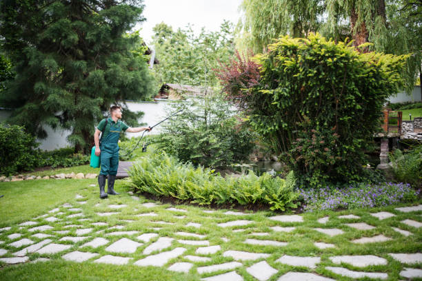 Best Best Pest Control Near Me  in West Wendover, NV