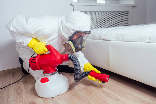 Best Pest Inspection Near Me  in West Wendover, NV