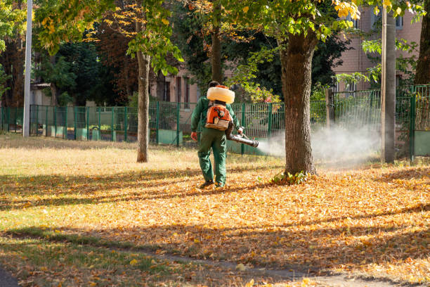 Best Flea Control Services  in West Wendover, NV