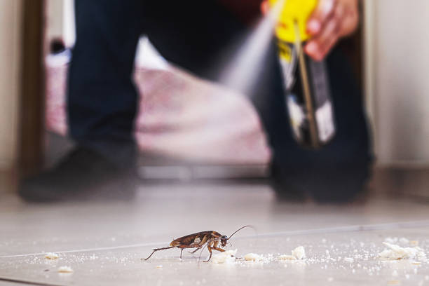 Best Cockroach Control Services  in West Wendover, NV