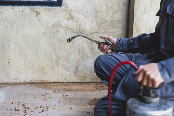 Best Local Pest Control Services  in West Wendover, NV